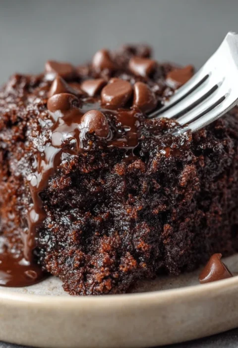 Chocolate Dump Cake Recipe Cozy Family Favorite